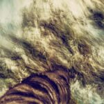 „tanz 3" aus der Serie UNTERHOLZ